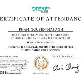 Bac si nieng rang Mai Anh nha khoa Lac Viet Intech
